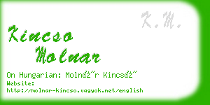 kincso molnar business card